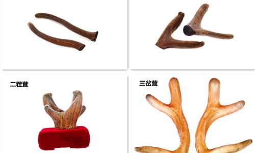 脚贴-脚贴脸上的心理动机-脚贴脸上缠胶带搞笑玩法,中国脚贴脸上网站